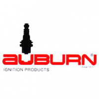 Auburn H76-925 Probe 1/2" x 9.25" Long