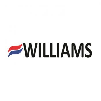 Williams Comfort Products P322276 Ignitor
