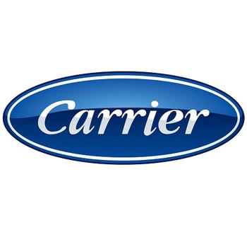 Carrier 48ZZHLRAA-AA00 Main Control Harness