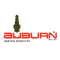 Auburn 477G Power Flame Electrode
