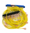 Armstrong International D296 Wire Harness